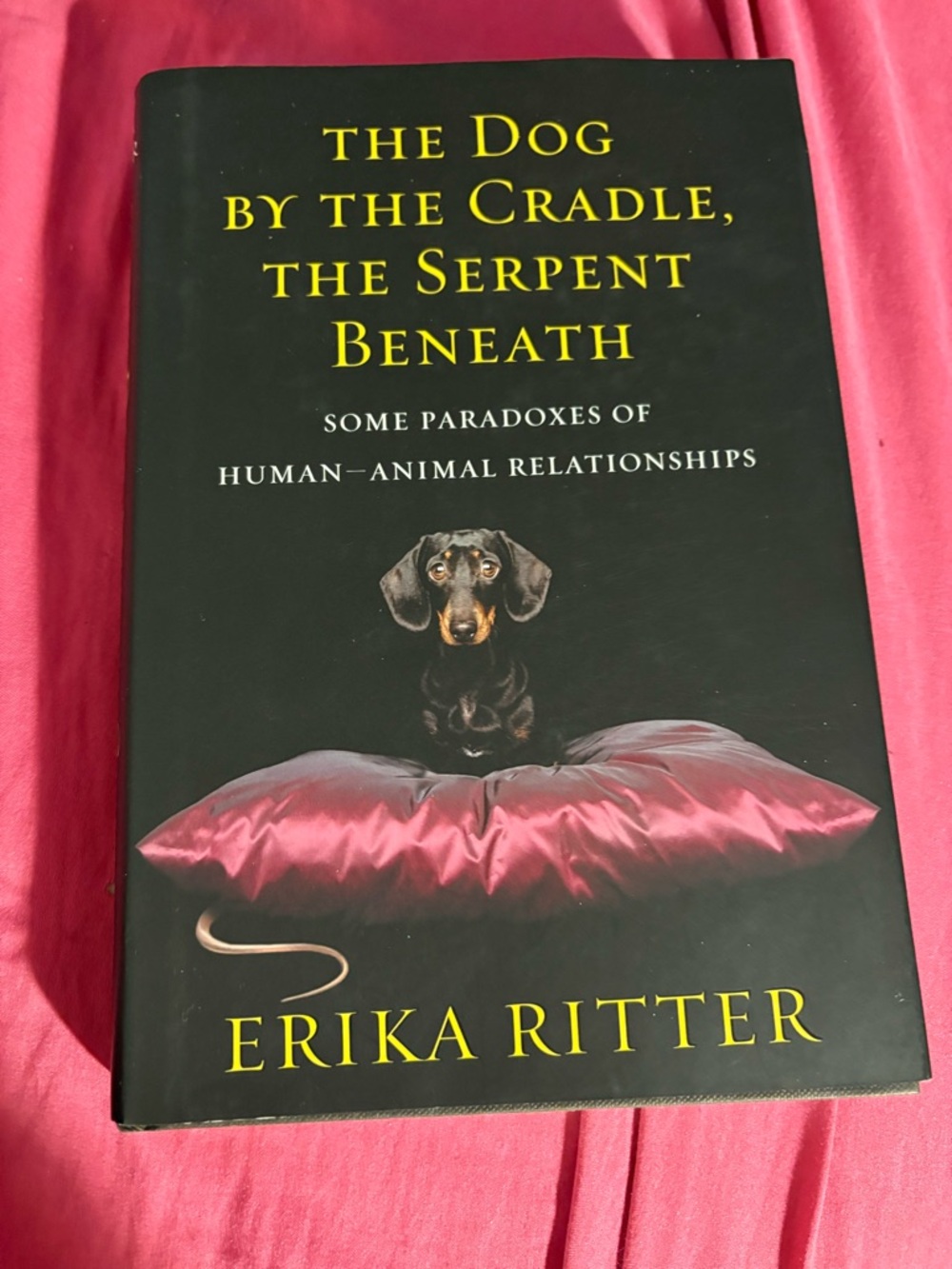The Dog by the Cradle, the Serpent Beneath: And Other Paradoxes of human animal